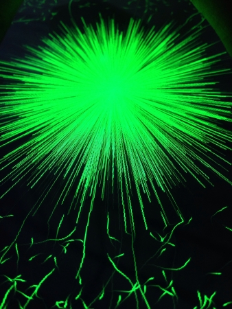 Music visualizerの素材