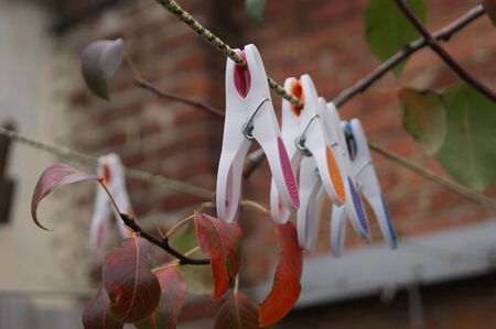Clothespin hanging on rope, depth of field.