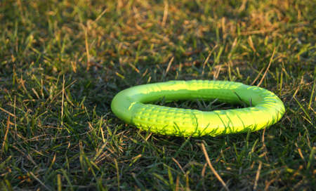 Green rubber toy for large dogs in the form of a ring, lying on green grass