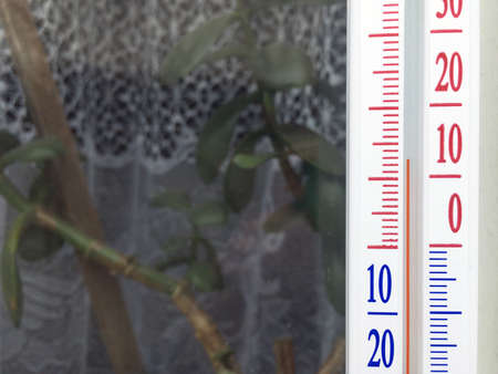 Image of a thermometer on the window, against the background of a home plant and curtains.