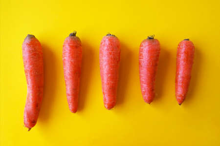 Natural organic carrot lies on yellow background. Vegetable vitamin and keratin. Top View. Agriculture concept.の写真素材