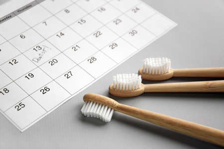 On a light gray background, there is a calendar with a dentist's note and toothbrushes. Dental health concept.の写真素材