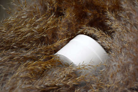 Cream, scrub, lotion for face and body on the background of reeds. top view. The concept of skincare...