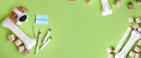 Syringe with ampoules, soft dog toy and treats. Reminder of vaccination against rabies, prevention of plague, infectious hepatitis, parainfluenza, coronovirus, leptospirosis, adenovirus infection for pets. The concept of the importance of pet vaccination, care.の写真素材