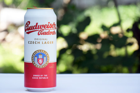 A can of Budweiser beer on a nature background. Czech Budweiser.のeditorial素材