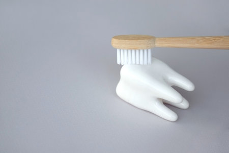 Toothbrushes with a small figure of a tooth on a light background. dental health concept.の写真素材