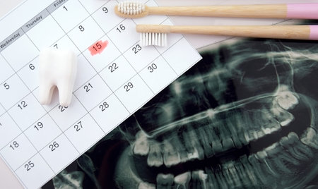 Panoramic snapshot of the jaw the patient's tooth on a light blue background.の写真素材