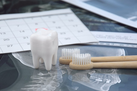 Panoramic snapshot of the jaw the patient's tooth on a light blue background.の写真素材