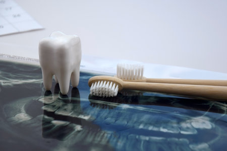 Panoramic snapshot of the jaw the patient's tooth on a light blue background.の写真素材