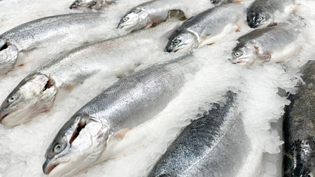 Fresh sea fish on display at market. Healthy seafood concept.の写真素材