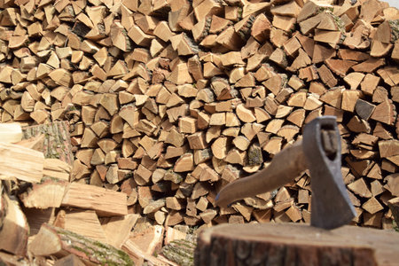 The chopped tree was piled in a pile. Preparation for the winter.