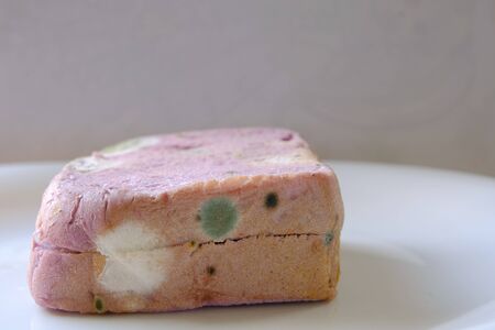Moldy bread on white dish. The green, white and black fungi on bread. An expired food. Unhealthy...
