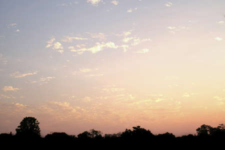 Beautiful sky when sunset with silhouette tree.