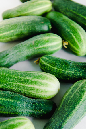 cucumbers lie on white background in scatterの写真素材