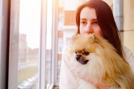 Smiling woman hugging a cute fluffy pomeranian spitz dog looking out the windowの写真素材
