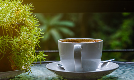 Closeup a white coffee cup on a dish with flowerpot.の写真素材
