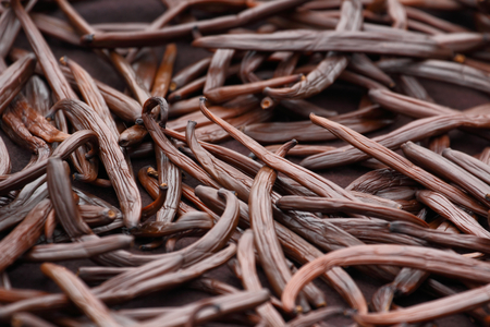Vanilla dry fruit (vanilla bean, pod)  in the curing ferments process for grading vanilla flavor.の写真素材