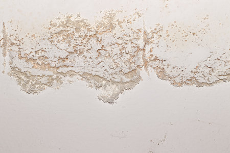 Indoor efflorescence on the moisture building surface show deposit mineral salt crystalline that cause damage interior wall paintの写真素材