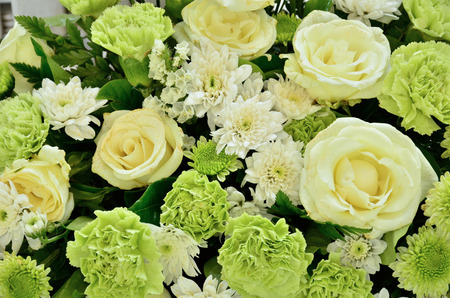 flower backgroundの写真素材