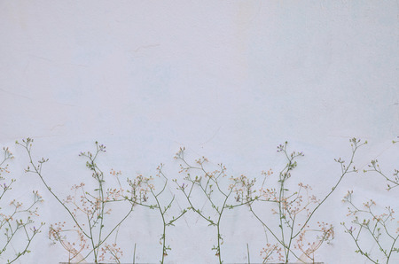 wall background and branches with a little flower, vintage style and pastel colorの写真素材