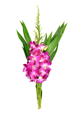 violet bouquet orchid flowers and green pandan for worship isolated on white backgroundの写真素材