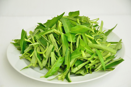 water spinach isolated on white backgroundの写真素材