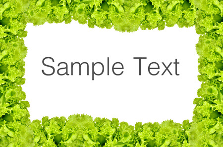 Fresh green lettuce isolated on a white backgroundの写真素材