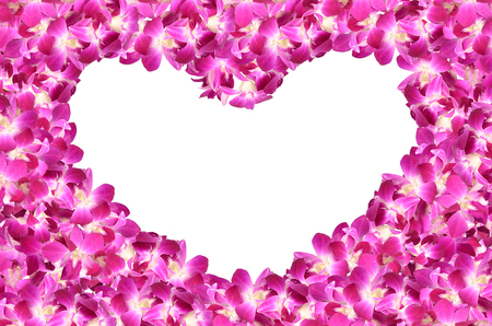 frame of violet orchid flowers isolated on white backgroundの写真素材
