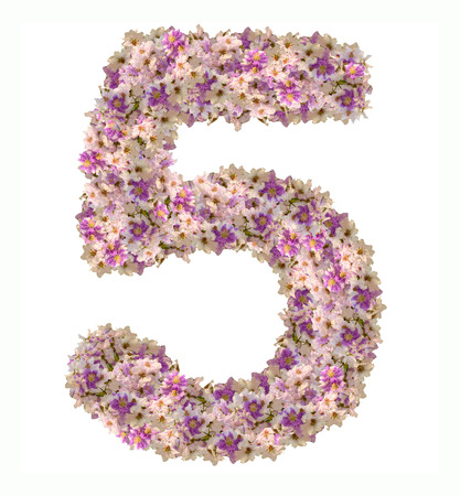 Numbers made of flowers isolated on white backgroundの写真素材