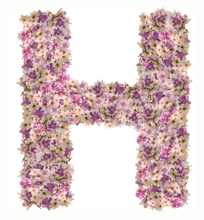 LetterH alphabet with zinnia flower ABC concept type. Typography designの写真素材