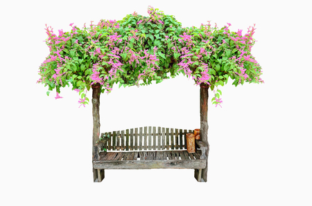 wood seat with pink flower (Antigonon leptopus or Mexican Creeper) on white backgroundの写真素材