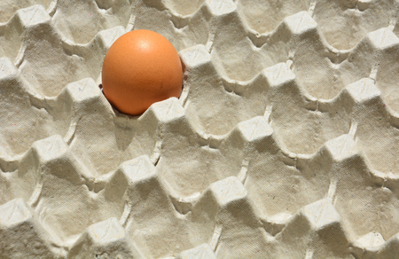egg in container panelの写真素材