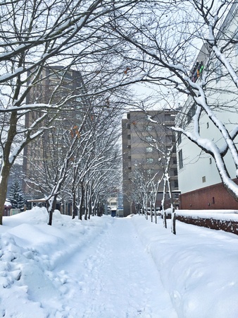 Snowing in Sapporo, Japanの素材