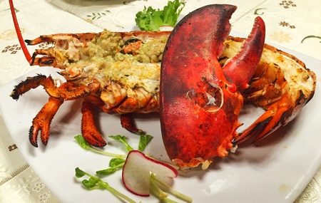 Lobsterの素材