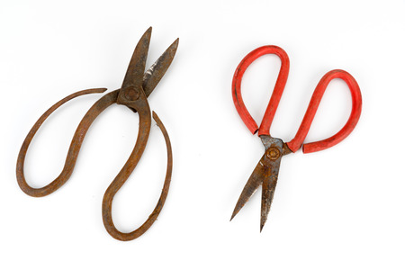 old scissors full of rust isolated on white background