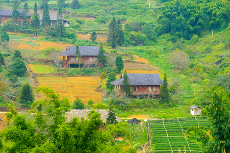 Beautiful View of mountains contain lot of terraced fieldsの写真素材