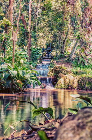 A long exposure of a small waterfall running into a pool of water, surrounded by tropical plants and forest.の写真素材