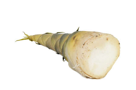 raw bamboo shoot is a kind of Thai foodの写真素材