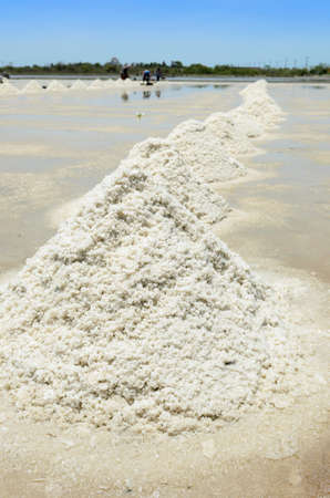 heap salt in the salineの写真素材
