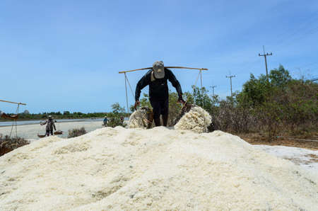 the worker is dumping slat to big salt heapのeditorial素材