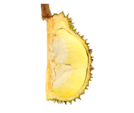 durian isolated on white の写真素材