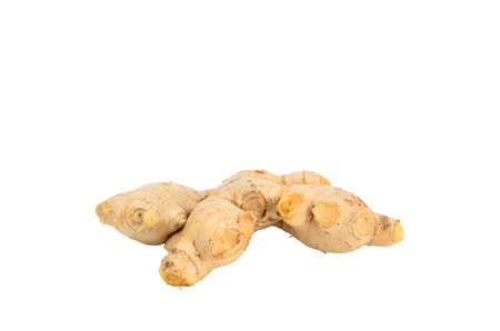 fresh gingerの写真素材