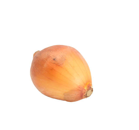 raw onion on isolatedの写真素材