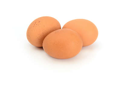 eggs on the isolated の写真素材