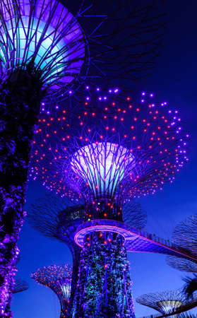 SINGAPORE - JANUARY 31: Night view at Garden by the Bay super tree groove January 31, 2014 in...