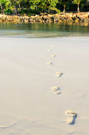 lonely foot print on a beachの写真素材