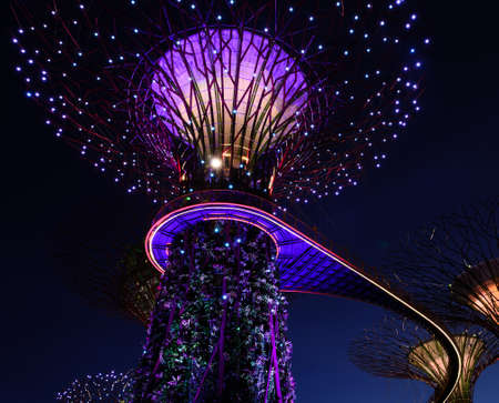 SINGAPORE - JANUARY 31: Night view at Garden by the Bay super tree groove January 31, 2014 in Singapore. Spanning 101 hectares of reclaimed land in central Singapore, adjacent to Marina Reservoir.のeditorial素材