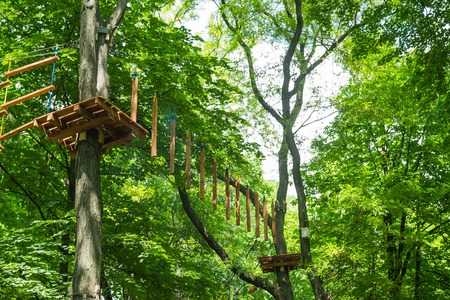 Rope Park among the trees. Walking on hanging stairs in a helmet. Childrens rides on trees.