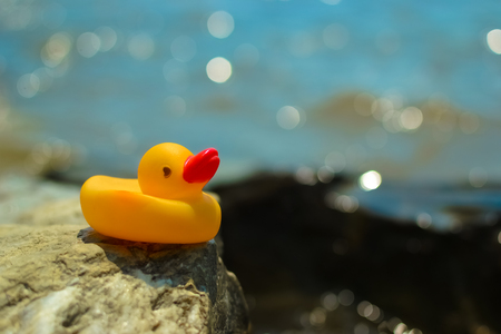 yellow rubber duck sits on a rock on the beach and looks forward thoughtfully, splashes of water create bokeh.の写真素材