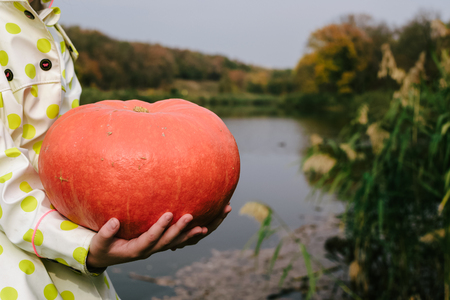 children's hands holding an orange pumpkin on the river Bank. Halloween.の写真素材